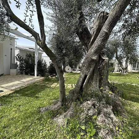 Campsite Frontemare Village & Ristorante