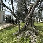 Campsite Frontemare Village & Ristorante
